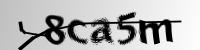 authCodeServlet